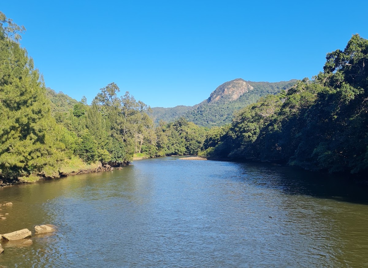 Kamerunga Conservation Park