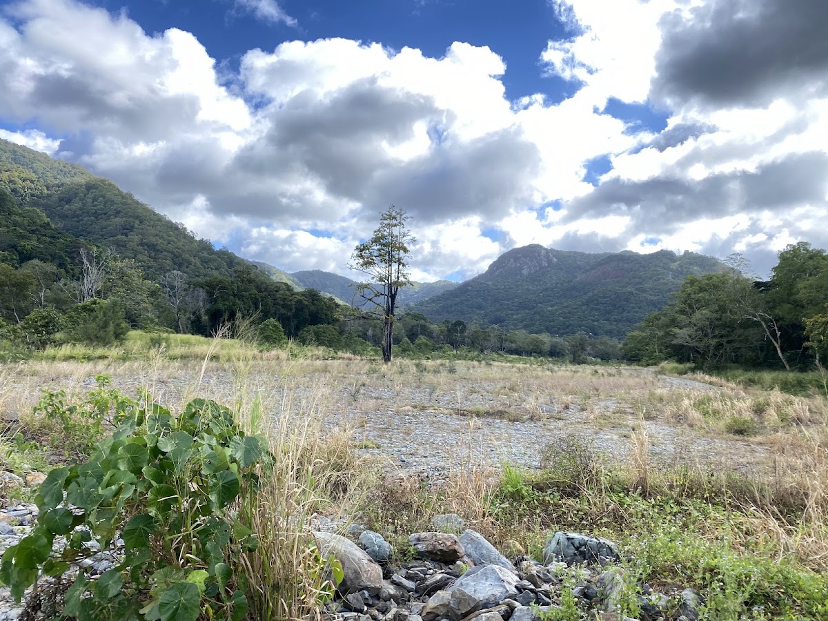 Kamerunga Conservation Park