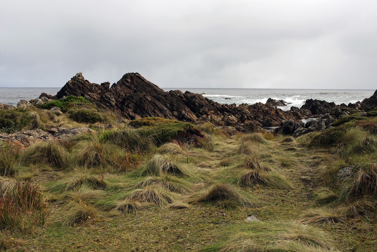 Coast Care Project Rest Area