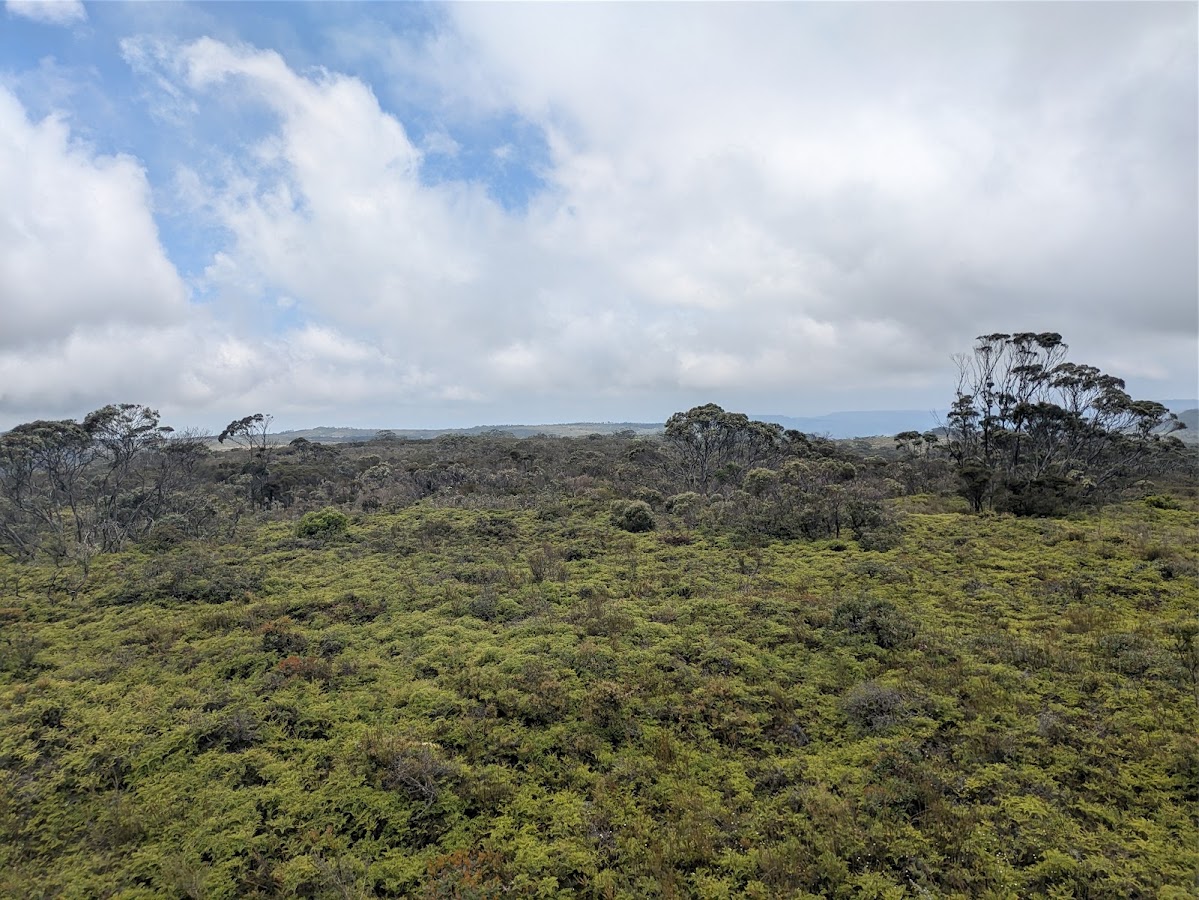 Barren Grounds Lookout