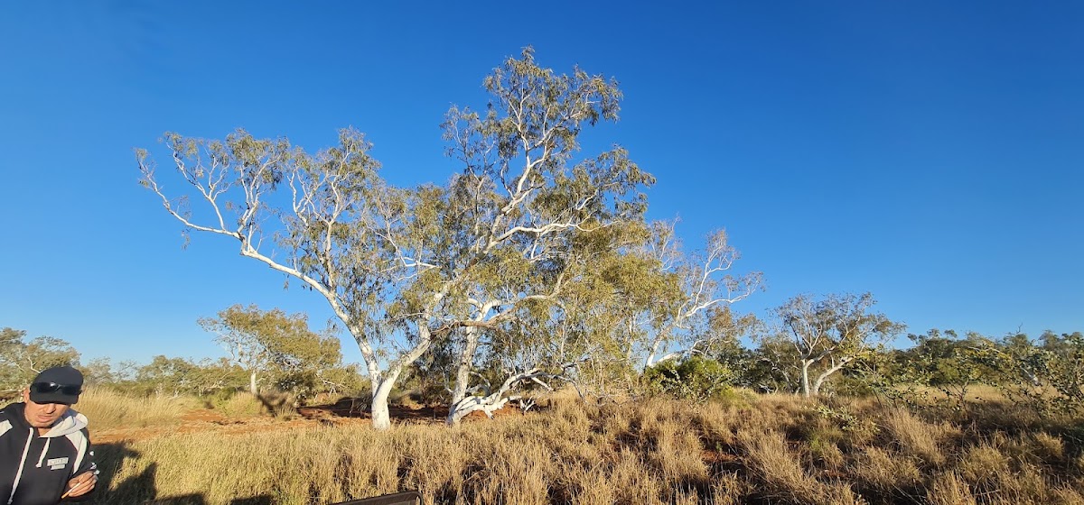 West Peawah River Rest Area