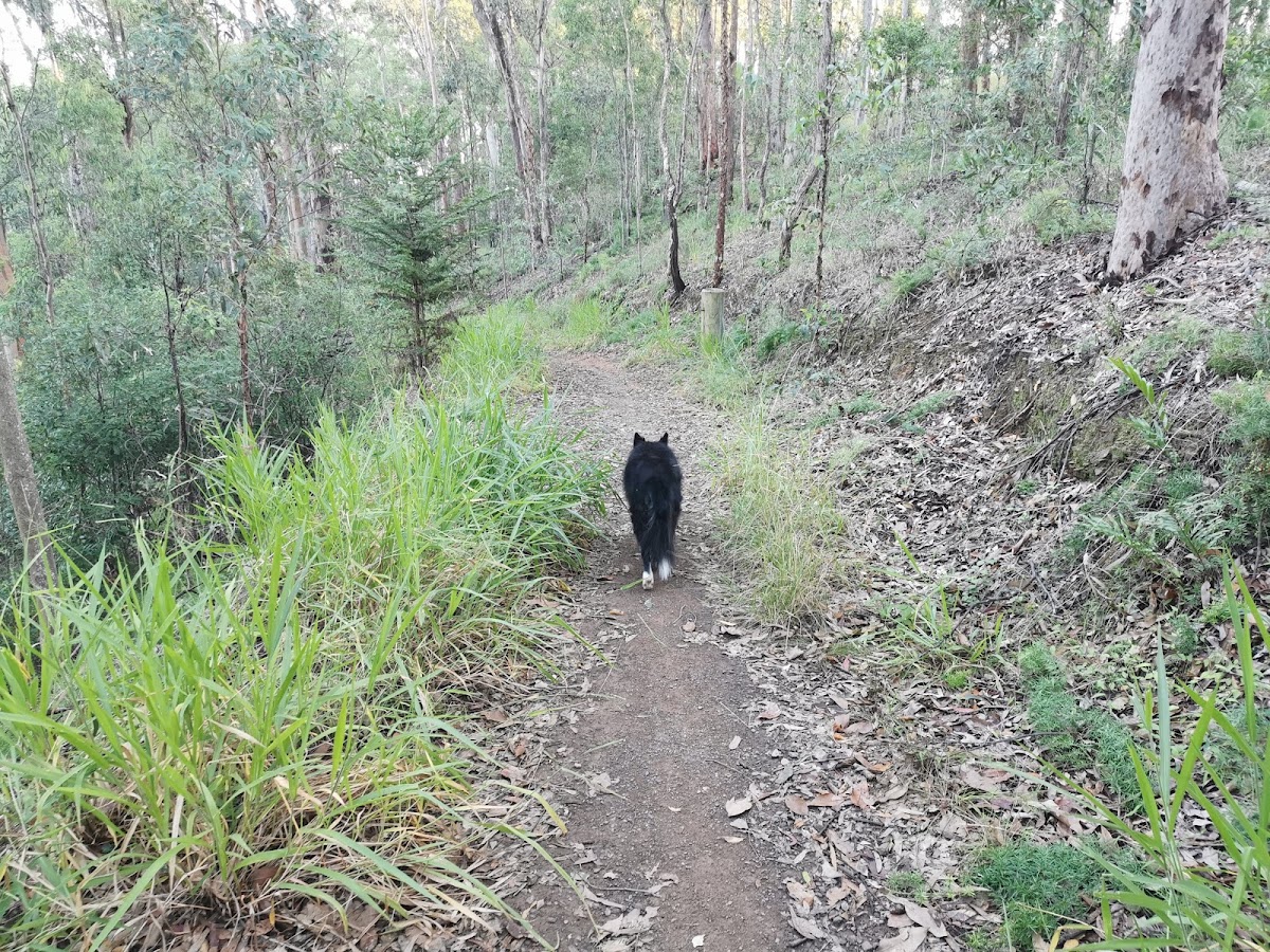 Samford Conservation Park