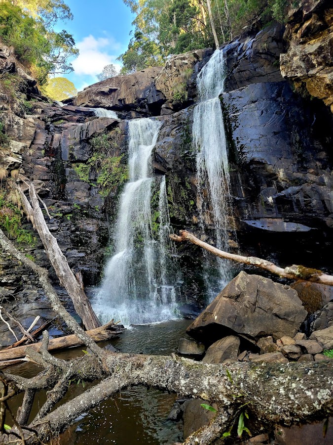 Stevenson Falls Campingground