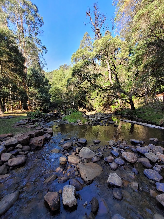 Stevenson Falls Campingground