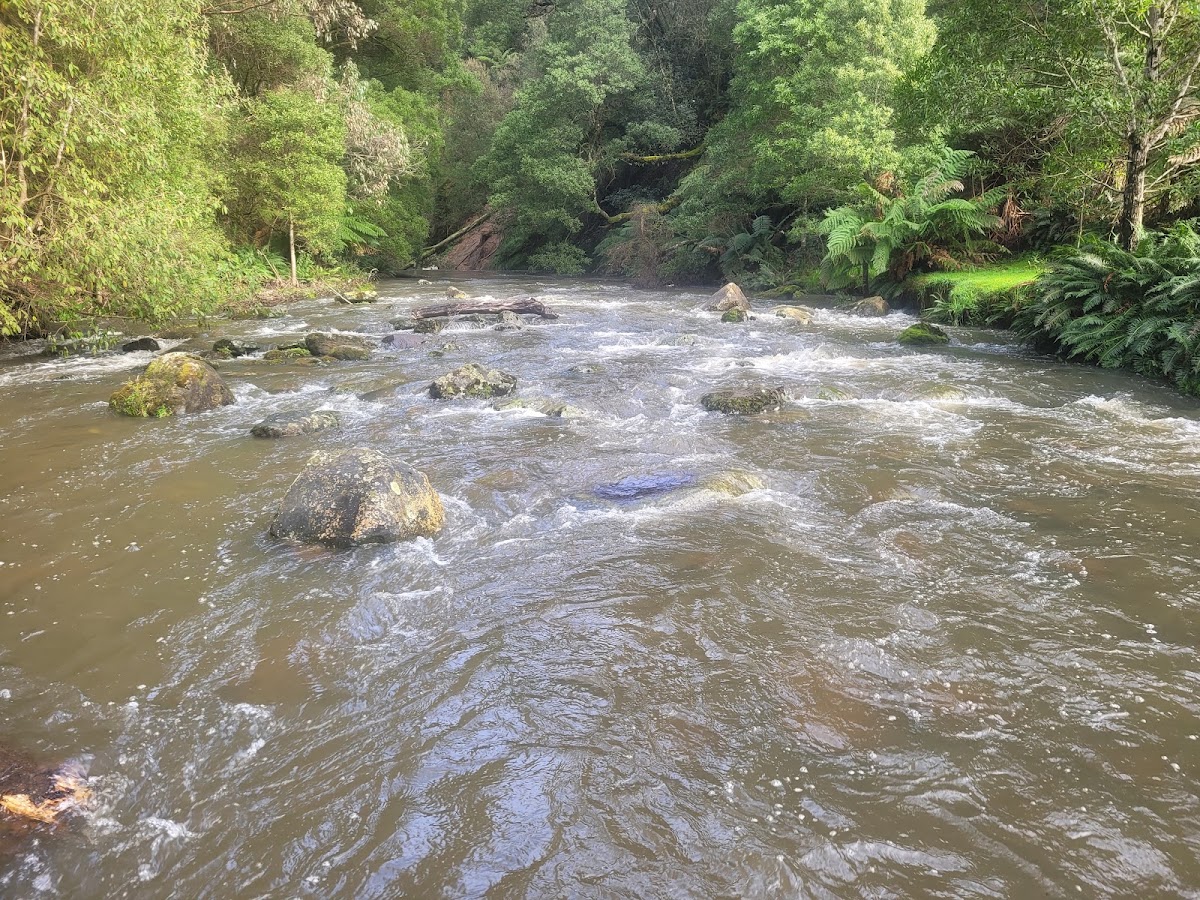 Stevenson Falls Campingground