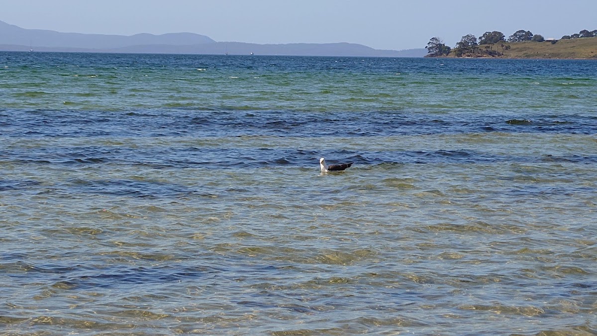 Kent Beach