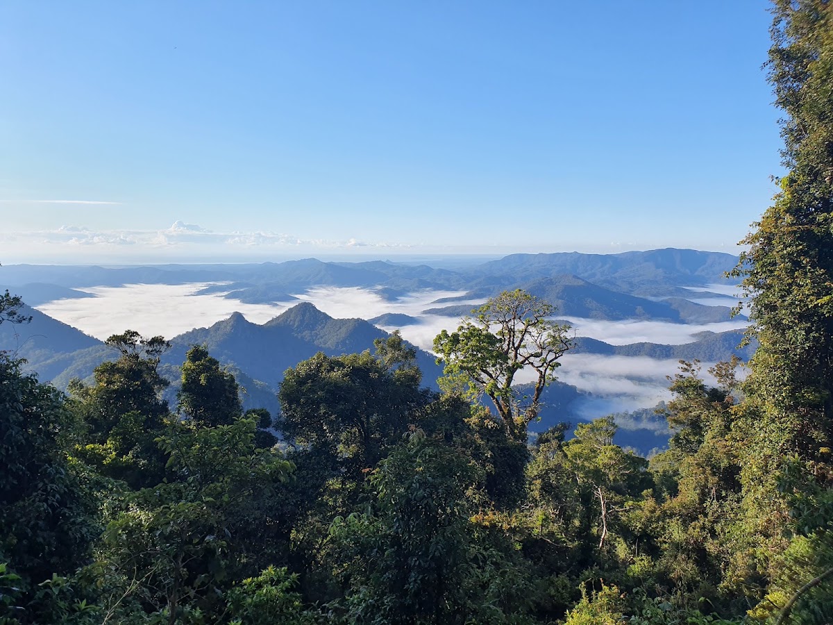 Wollumbin National Park