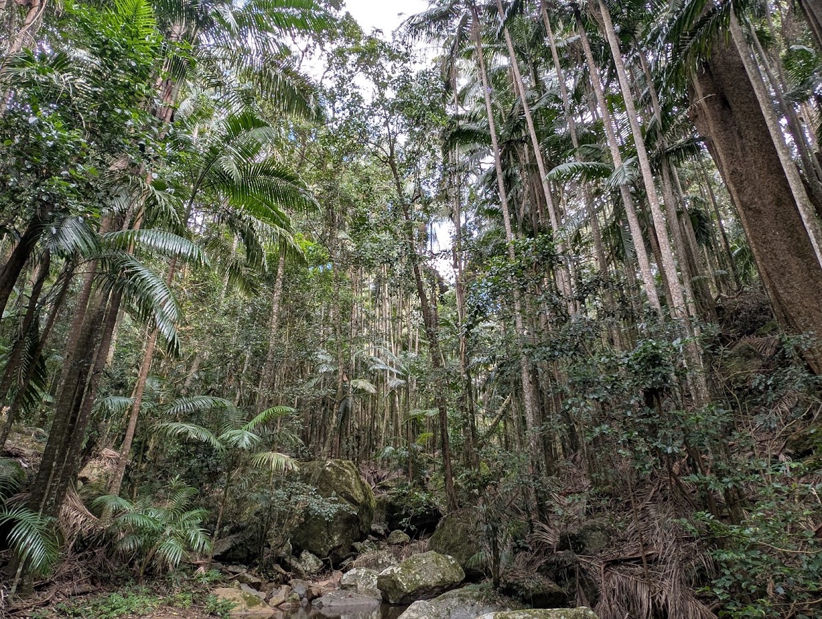 Wollumbin National Park