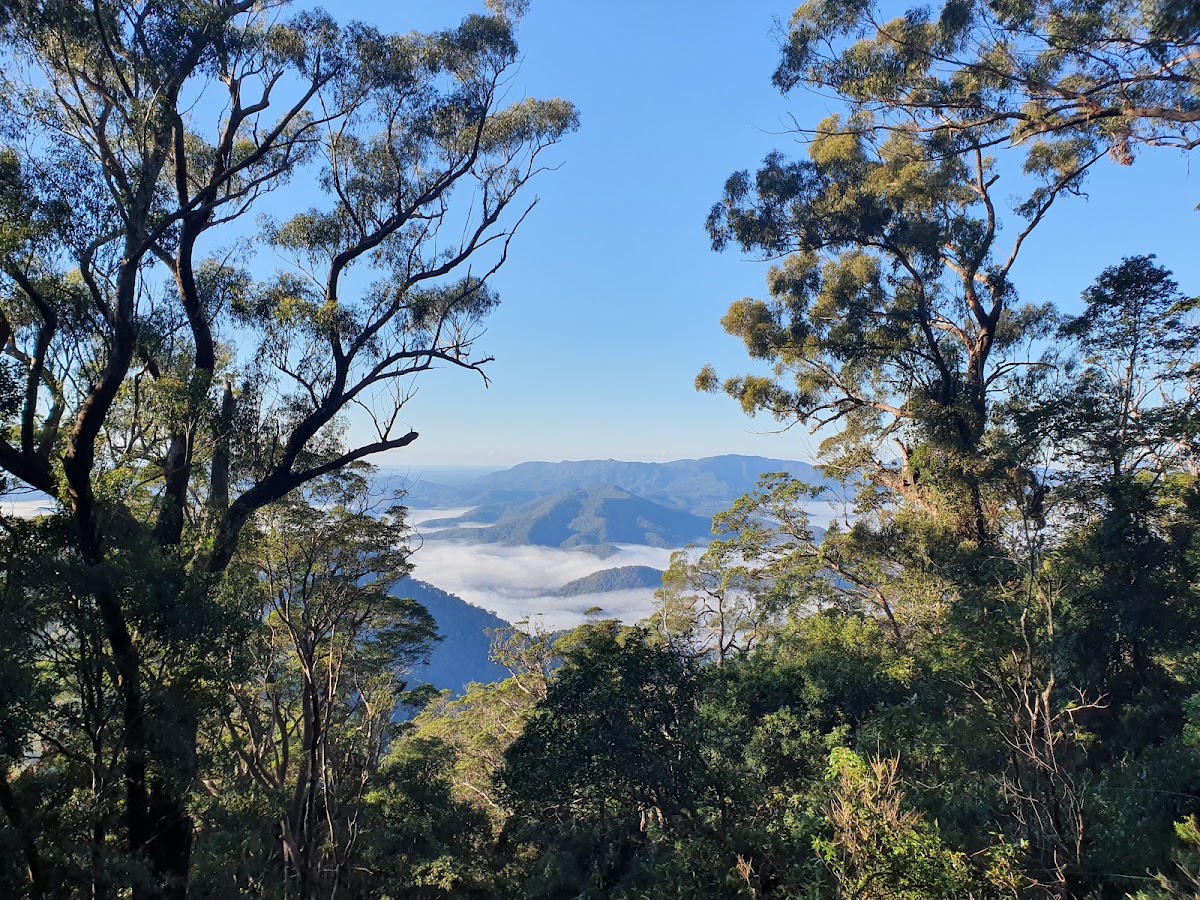 Wollumbin National Park