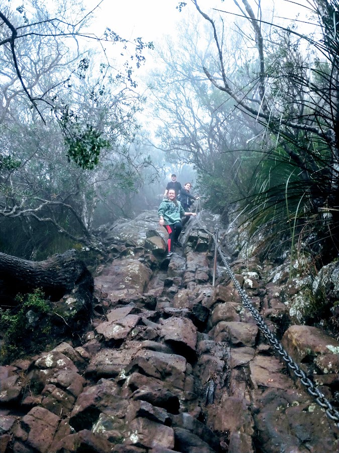Wollumbin National Park
