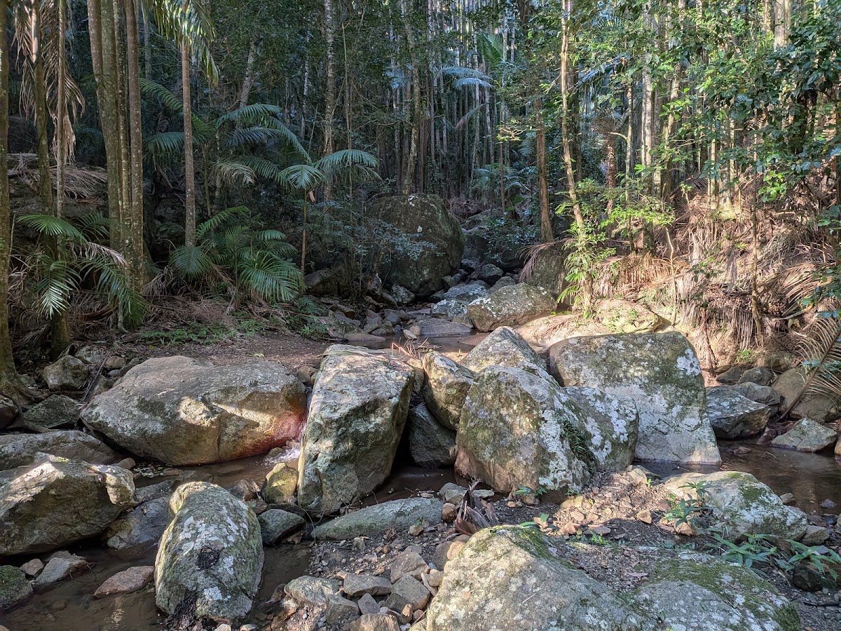 Wollumbin National Park