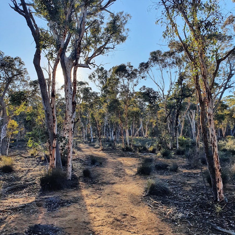 Dryandra Woodland National Park