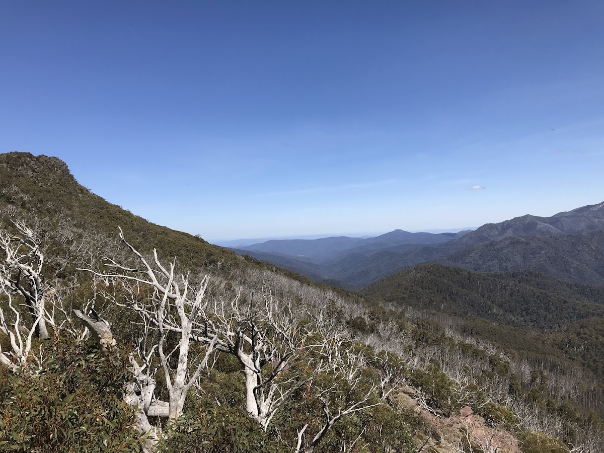 Sheepyard Flat