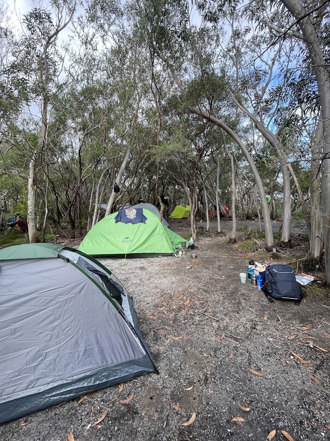 Cooyoyo campsite
