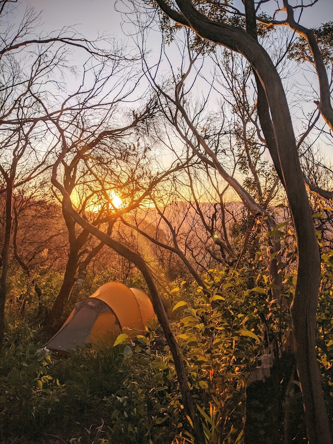 Cooyoyo campsite