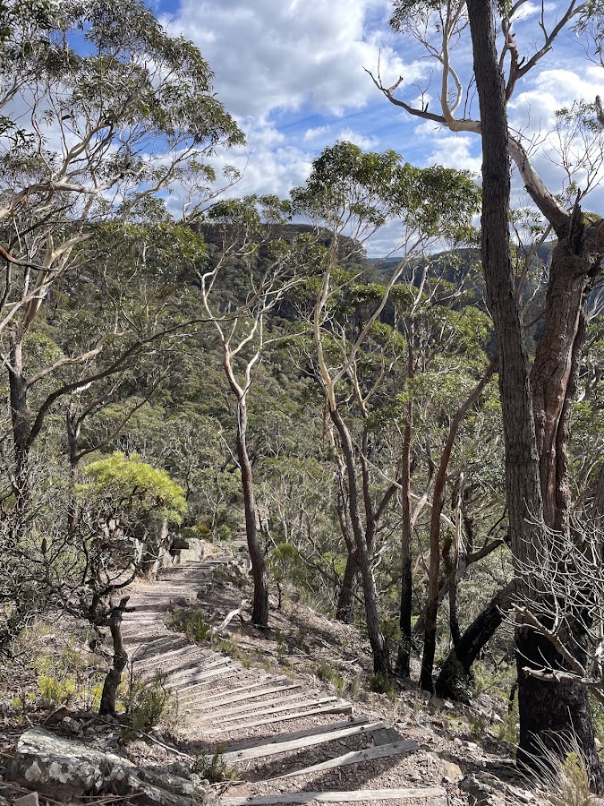 Gentles Lookout
