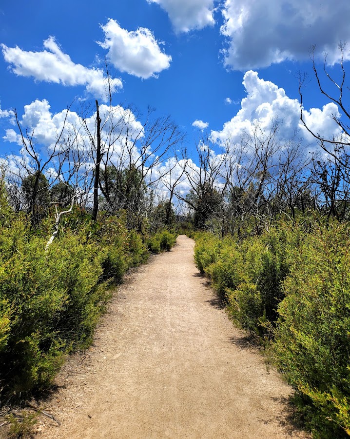 Gentles Lookout