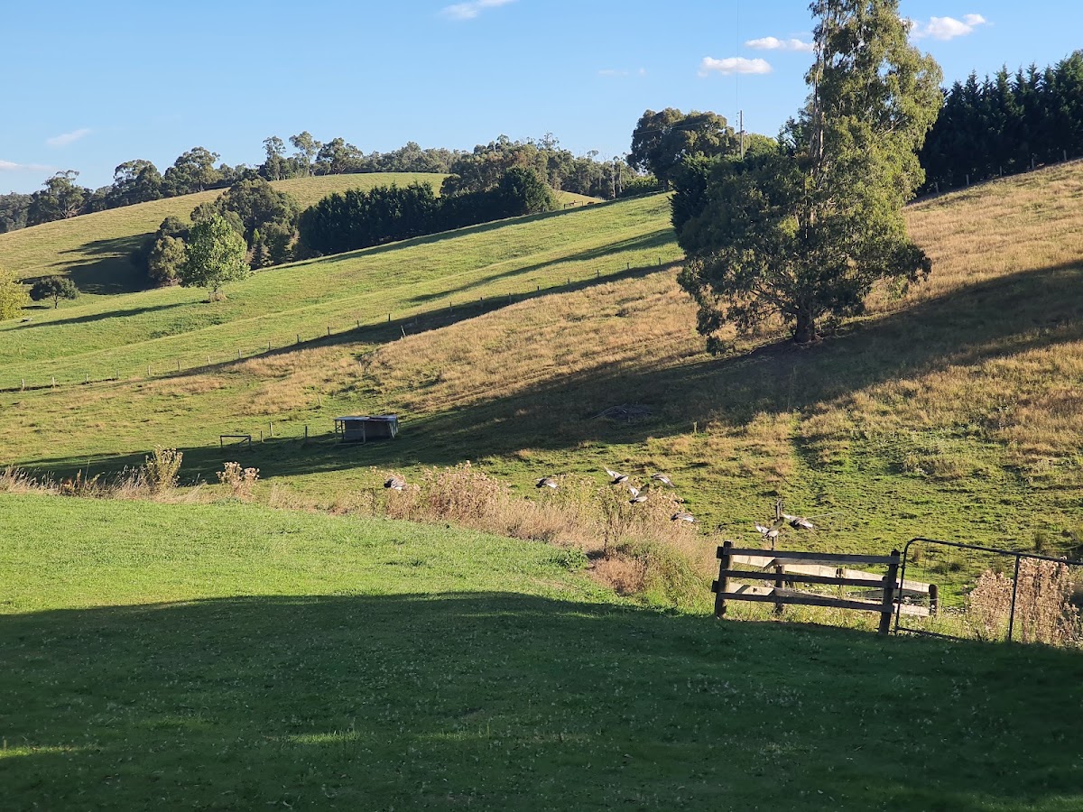 Neerim South Caravan Park