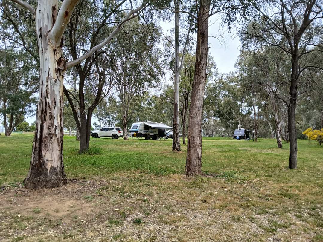 Manilla Road Lions Rest Area