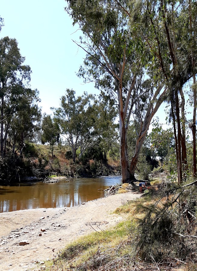 Manilla Road Lions Rest Area
