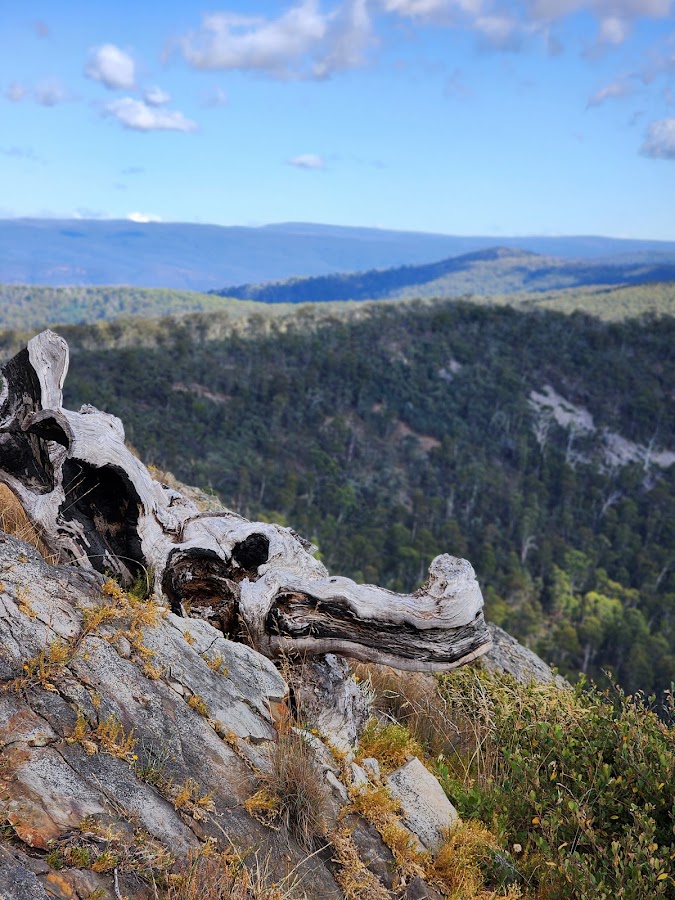 Pinnacles State Forest