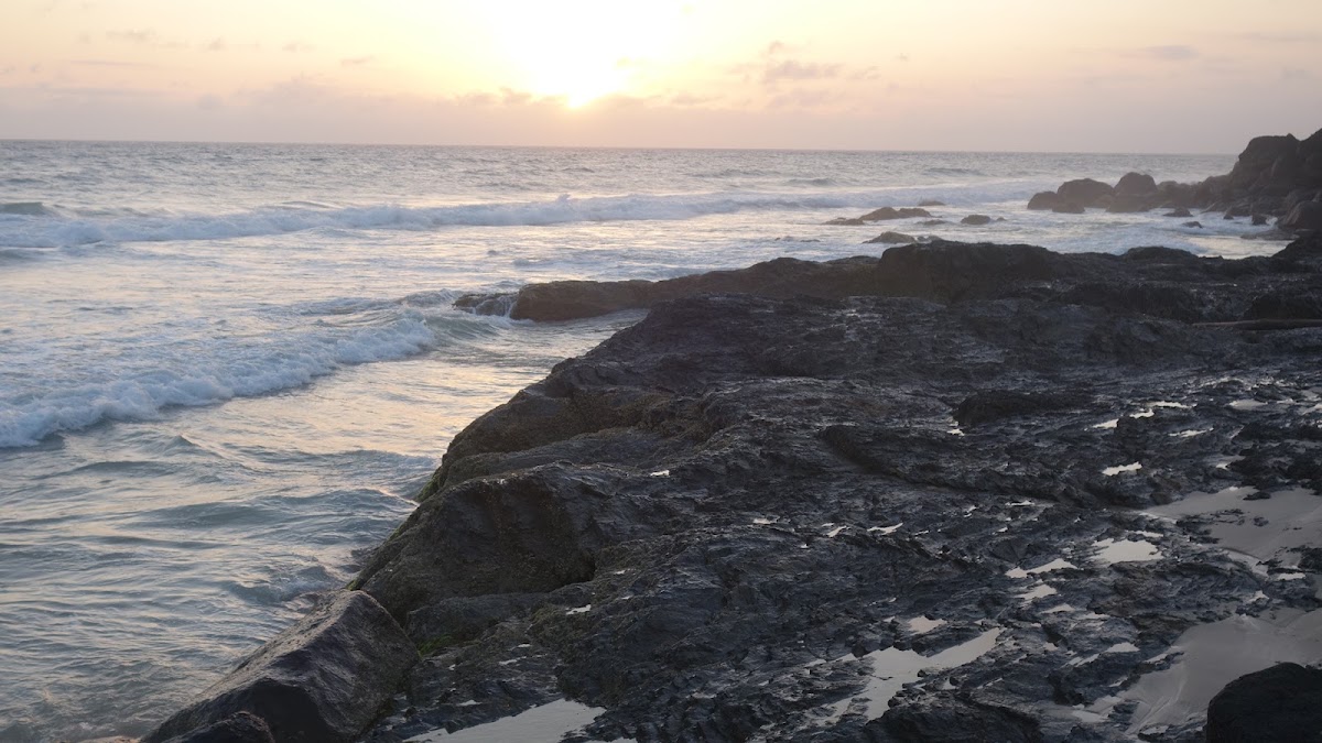 Froggy Beach