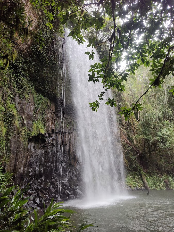 Millaa Millaa Falls