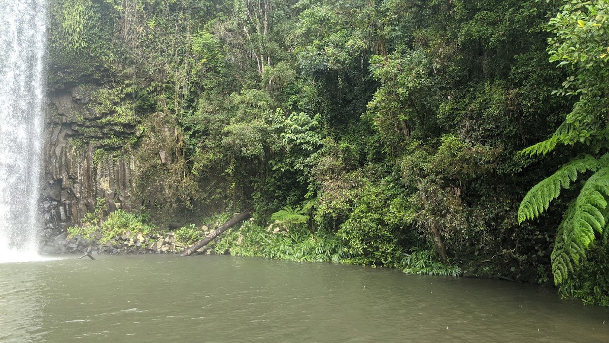 Millaa Millaa Falls