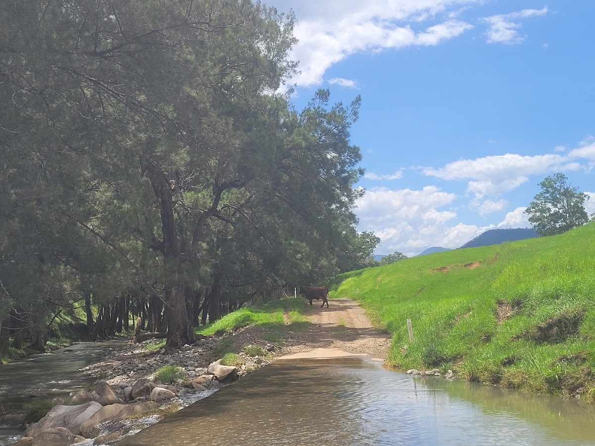 Cangai Bridge Reserve