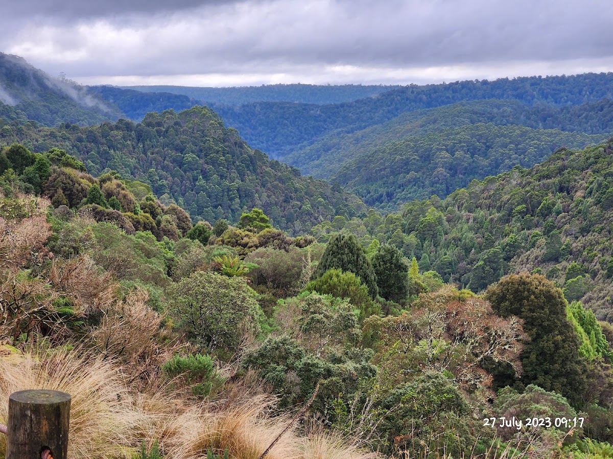 Waratah Falls