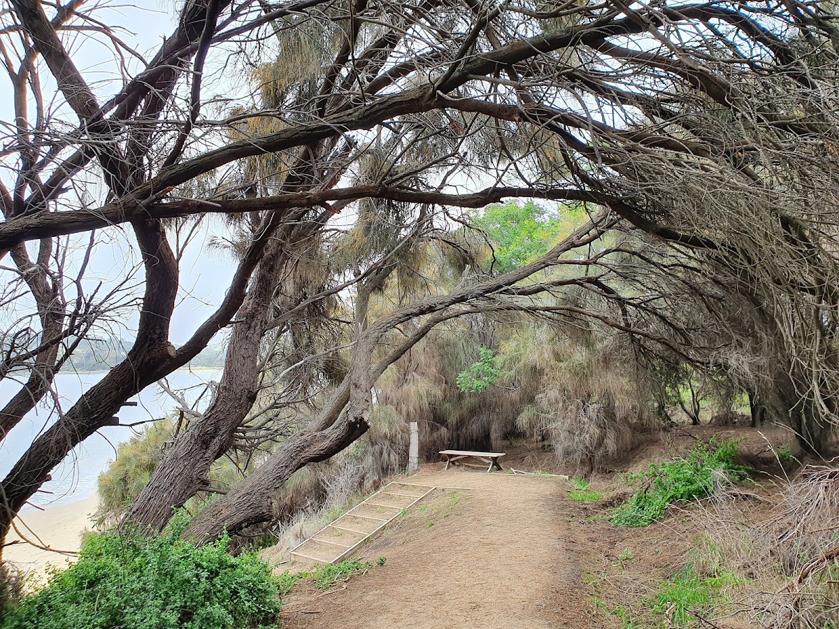 Mays Beach