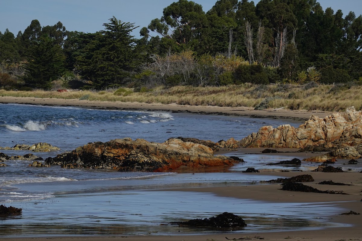 Mays Beach