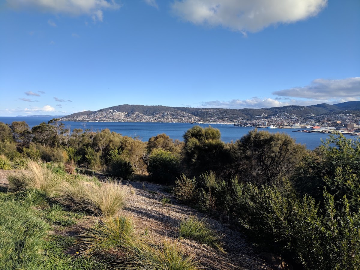 Limestone Hill Lookout