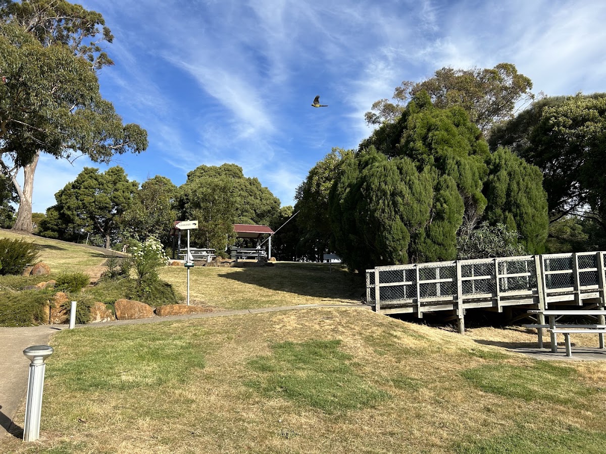 Brady's Lookout