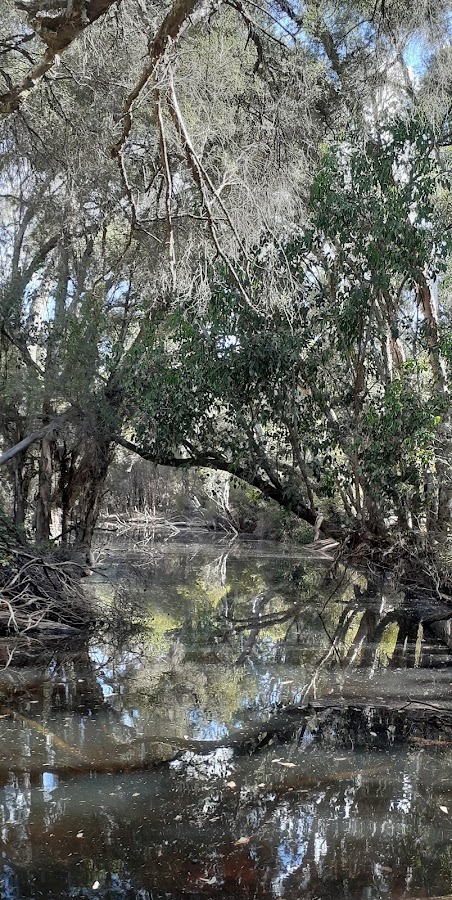 Harris Dam Campsite