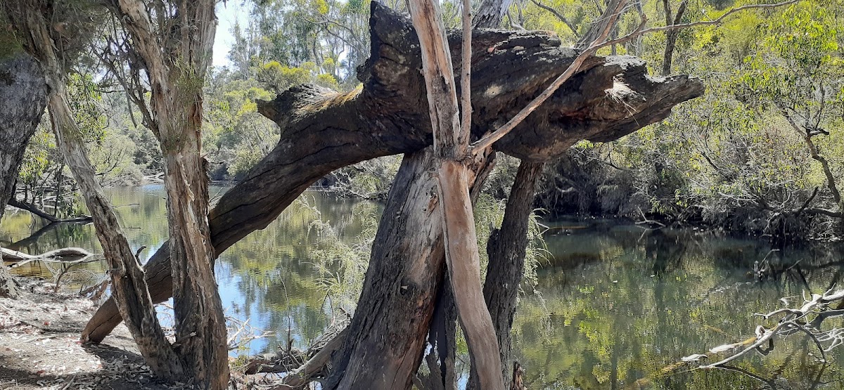 Harris Dam Campsite