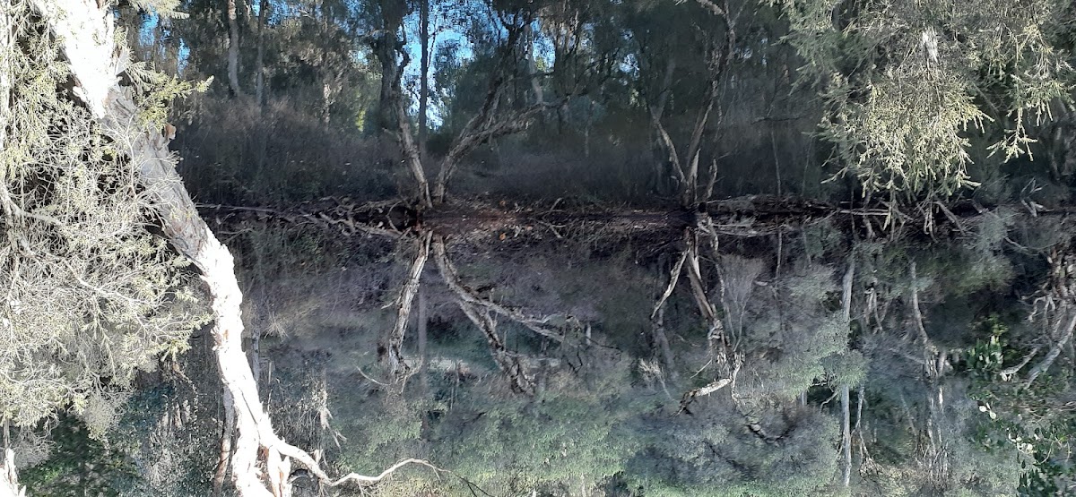 Harris Dam Campsite