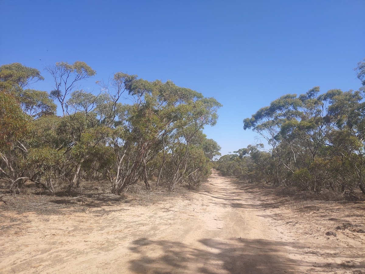 Lowan Conservation Park