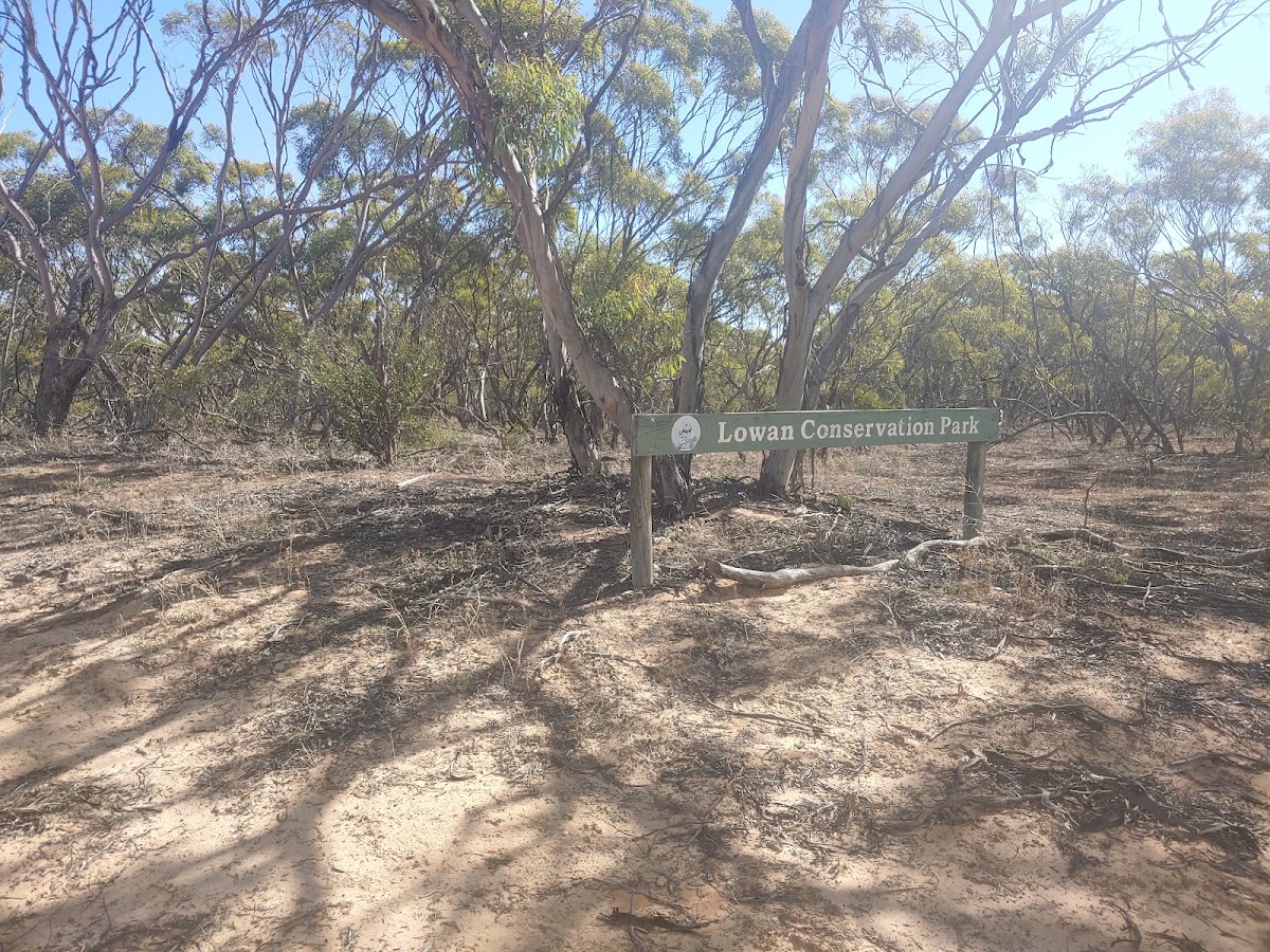 Lowan Conservation Park