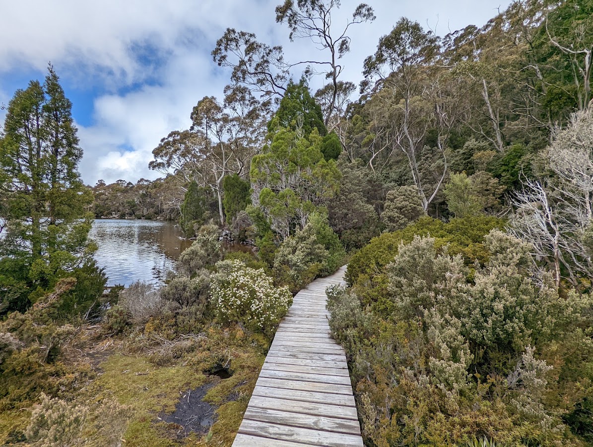 Pandani Grove