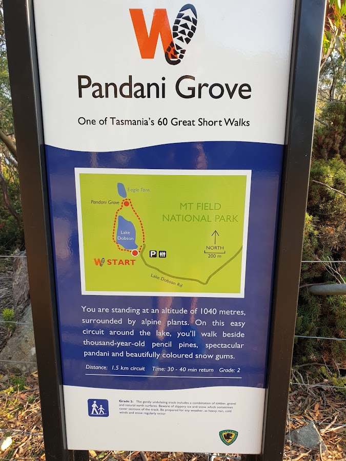 Pandani Grove