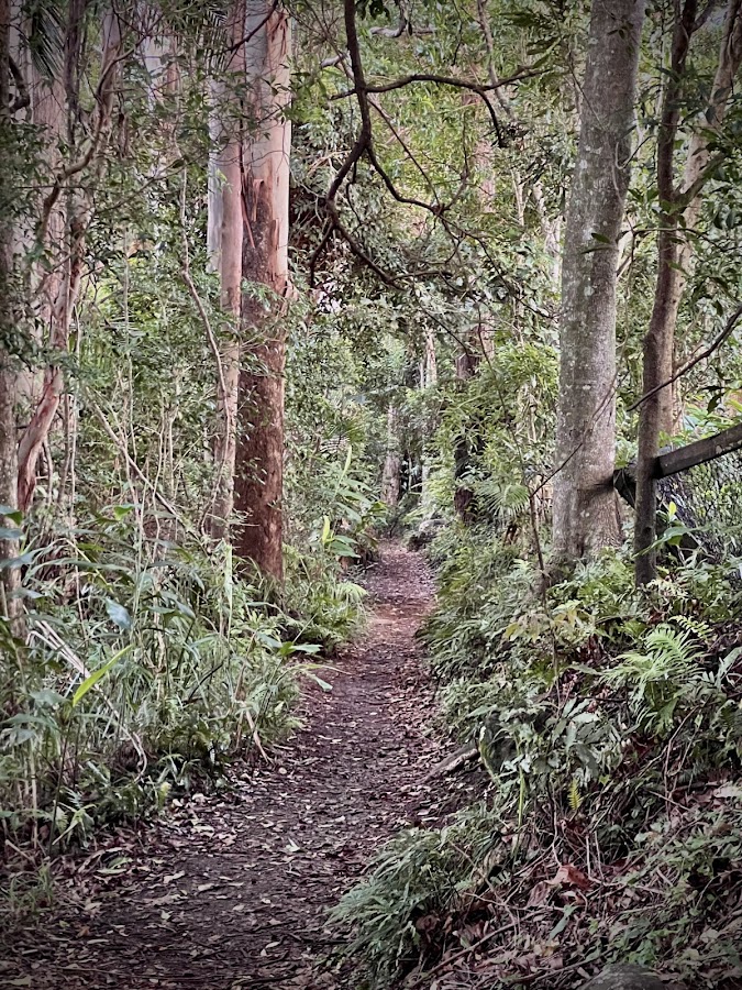 Witches Falls Lookout