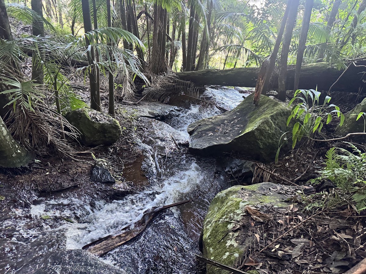 Witches Falls Lookout