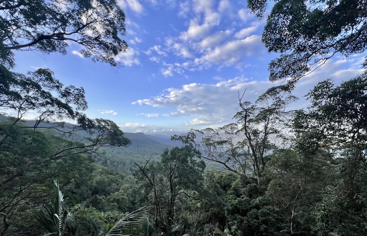 Witches Falls Lookout