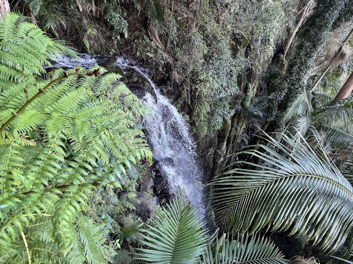 Witches Falls Lookout