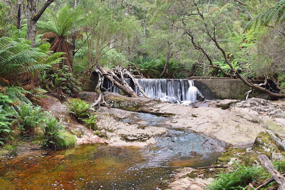 Halls Falls
