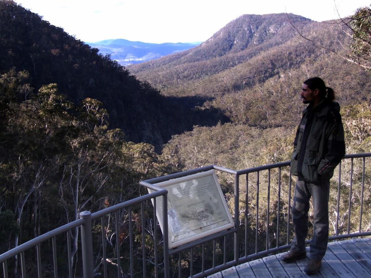 Myanba Gorge Lookout