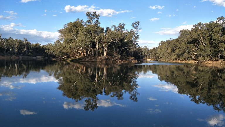 Gunbower National Park
