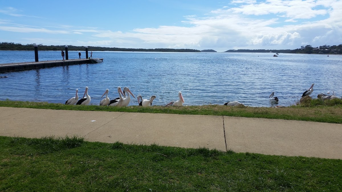 Anglers Rest Caravan Park