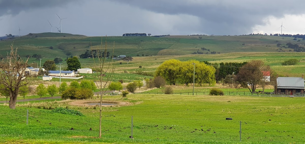 Taralga Road MR256